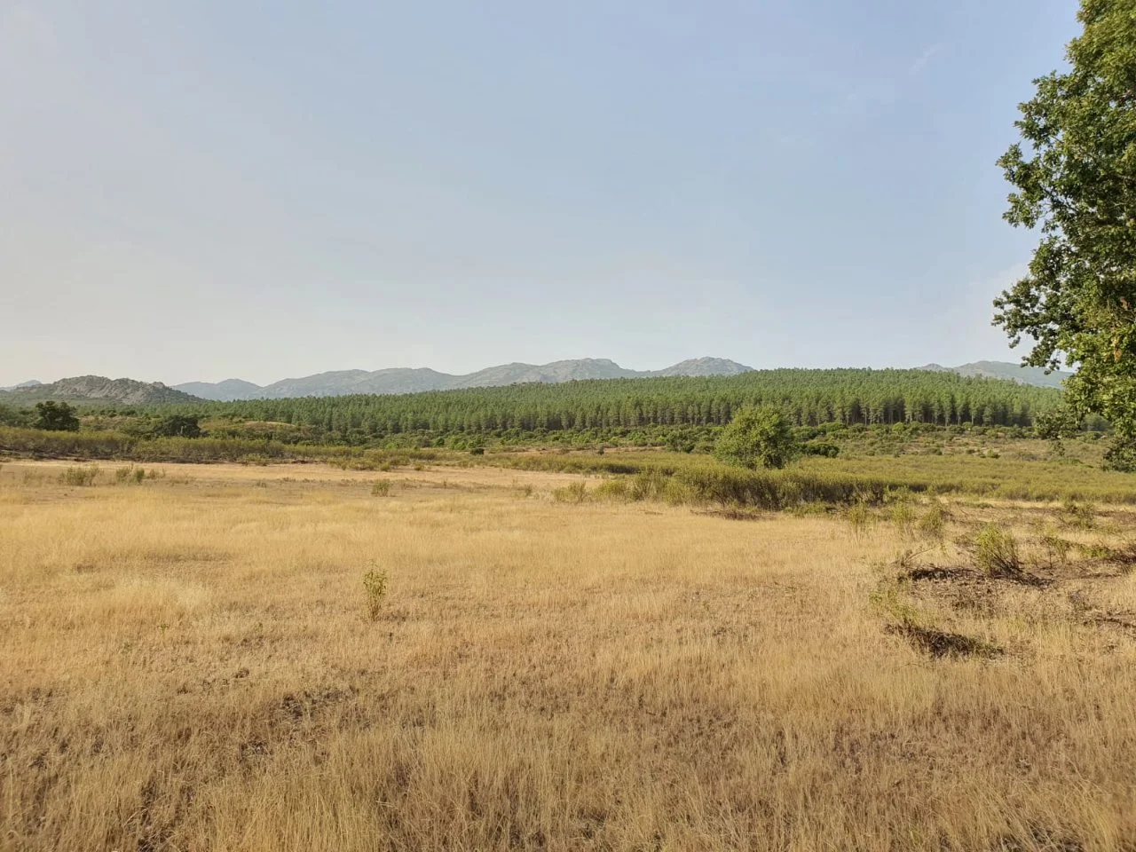 Finca de recreo y caza en Navatrasierra.webp